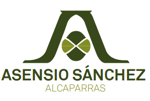 Asensio Sánchez logo